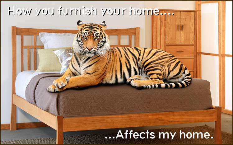 Is your furniture made of wood that use to provide critical habitat for animals like this tiger?