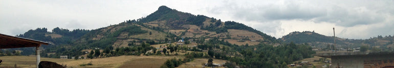 Deforestation of the Monarch Butterfly Over-Wintering Habitat in El Rosario