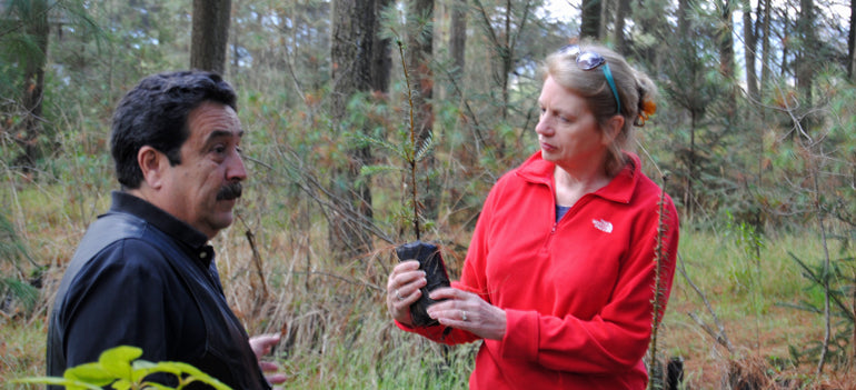 Conserving Monarch butterfly habitat in Mexico and Vermont