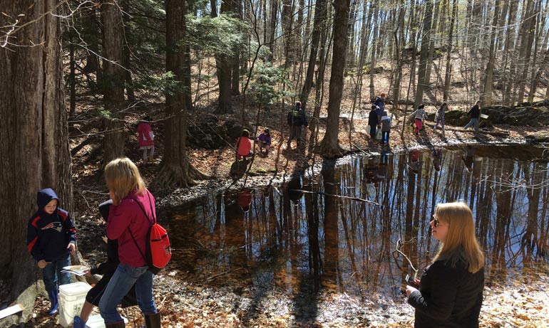 vernal pool