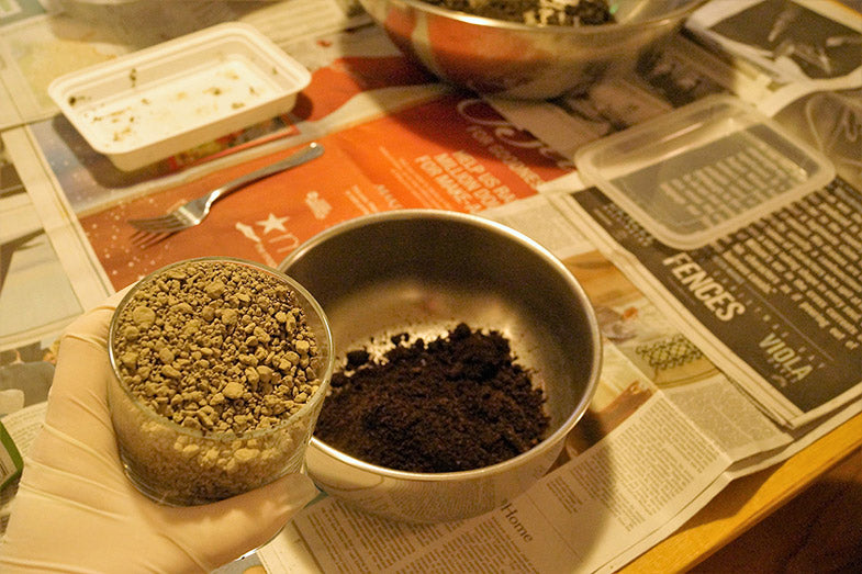 seed bombs