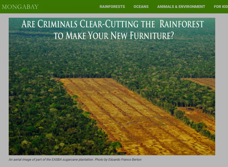 Buy Sustainable Furniture | Amazon RainForest | Conservation