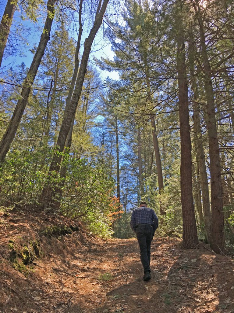 Take a hike at Stonehurst and celebrate Spring.