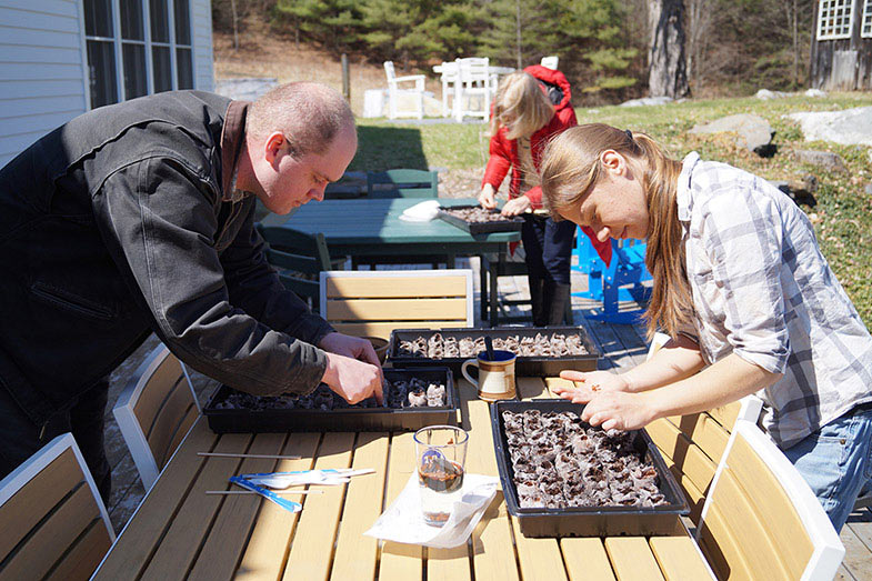 Planting Milkweed for Monarchs | Vermont's Sustainable Furniture Store