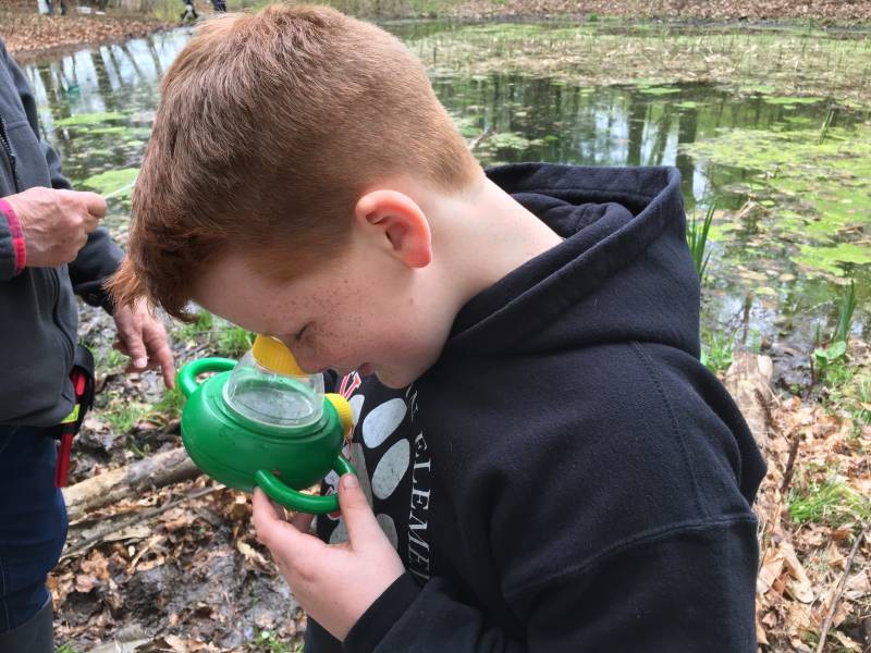 Third grader looking through a microscope | Environmental Science Field Trip