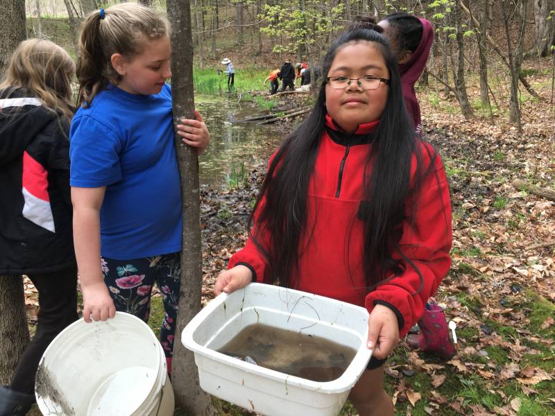 Environmental Science | Third graders holding a sample of pond water | BEEC, VES & Vermont Woods Studioss