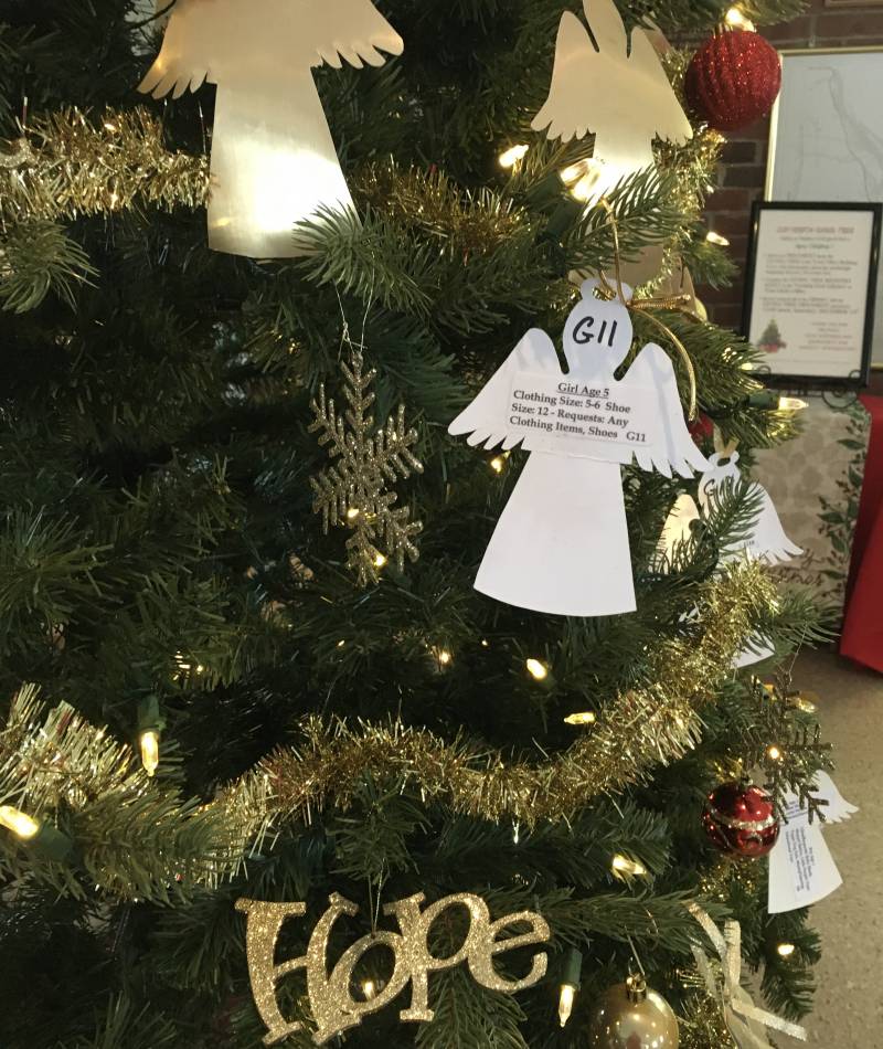 Angels on The Giving Tree in Vernon, Vermont