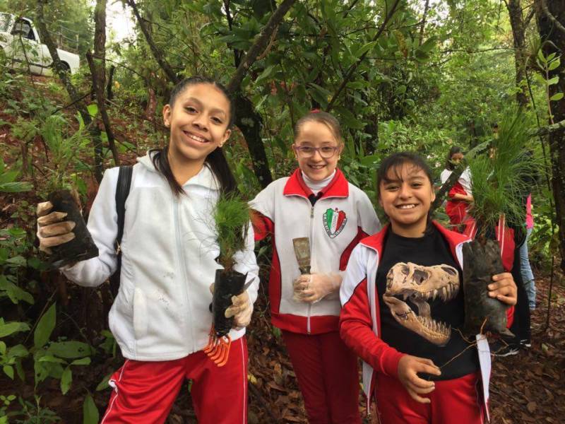 We work with Forests For Monarchs in Mexico. These girls are volunteering to plant trees in their community.