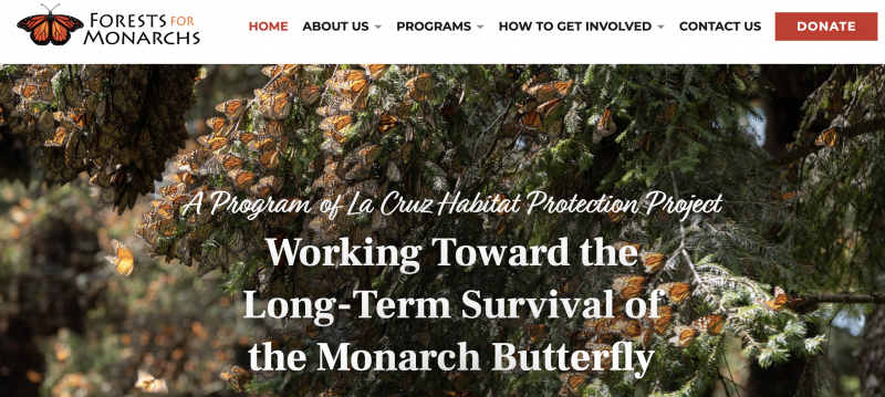 Help the Monarch | Website of Forests for Monarchs