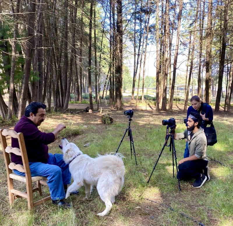 Jose Luis Alvarez, Max Stephan Faublas and Nina Markiw film documentary about monarchs