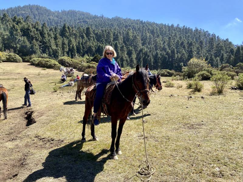 Peggy Farabaugh | Riding Horses up to El Rosario