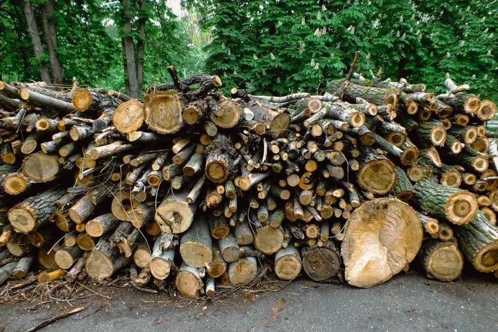 cut lumber