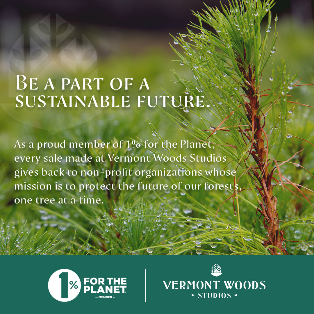 Experience forest conservation and restoration with VWS
