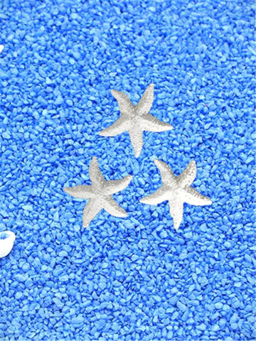 Starfish Shaped Art Decoration 3pcs - Frames & Displays