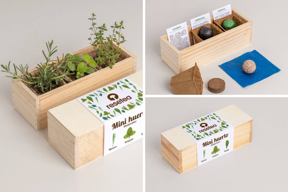 AROMATIC HERBS - MINI GARDEN BOX