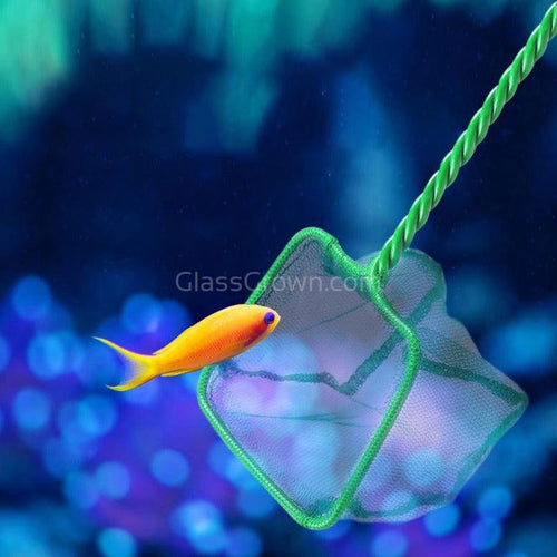 Green Net for Catching Fish from the Aquarium, Blue Background, Mesh with a  Small Cell Stock Image - Image of gear, catcher: 88994825