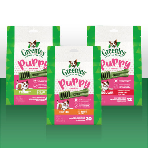 Collection of Greenies Puppy Dental Products