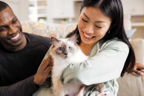 A couple holding their furry white and grey cat