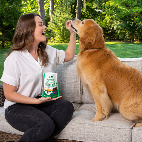 A golden retriever dog sitting with its owner on a couch getting fed supplements