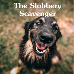 The Slobbery Scavenger character