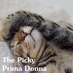 The picky prima donna character