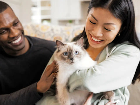 Two owners holding their white and gray cat with healthy cat teeth