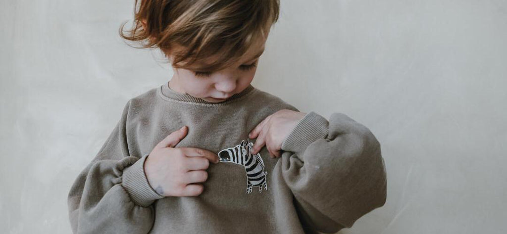 Bügelbild Zebra auf Pullover von einem Kind