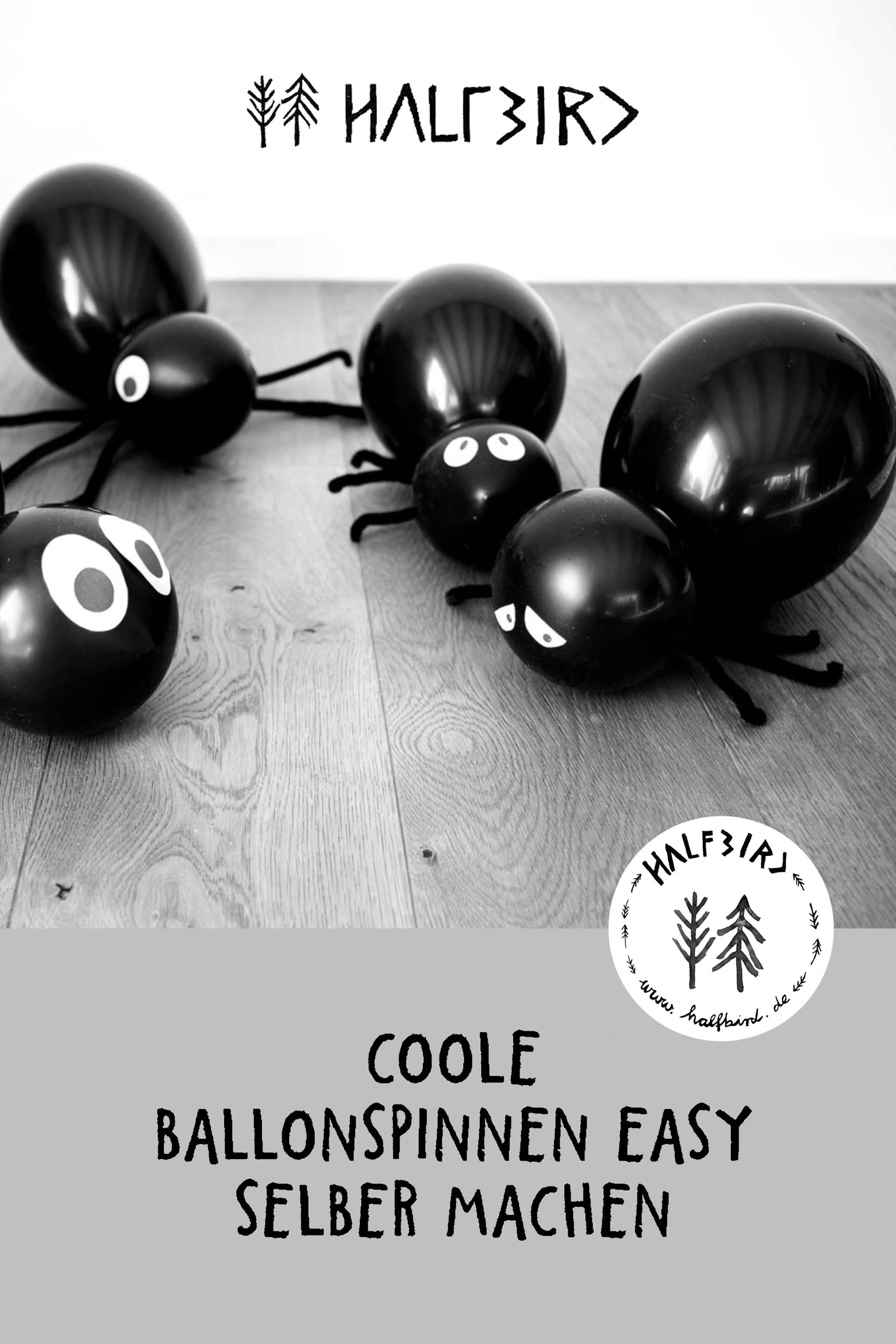 Pinterest Pin zum Ballonspinnen-DIY von Halfbird