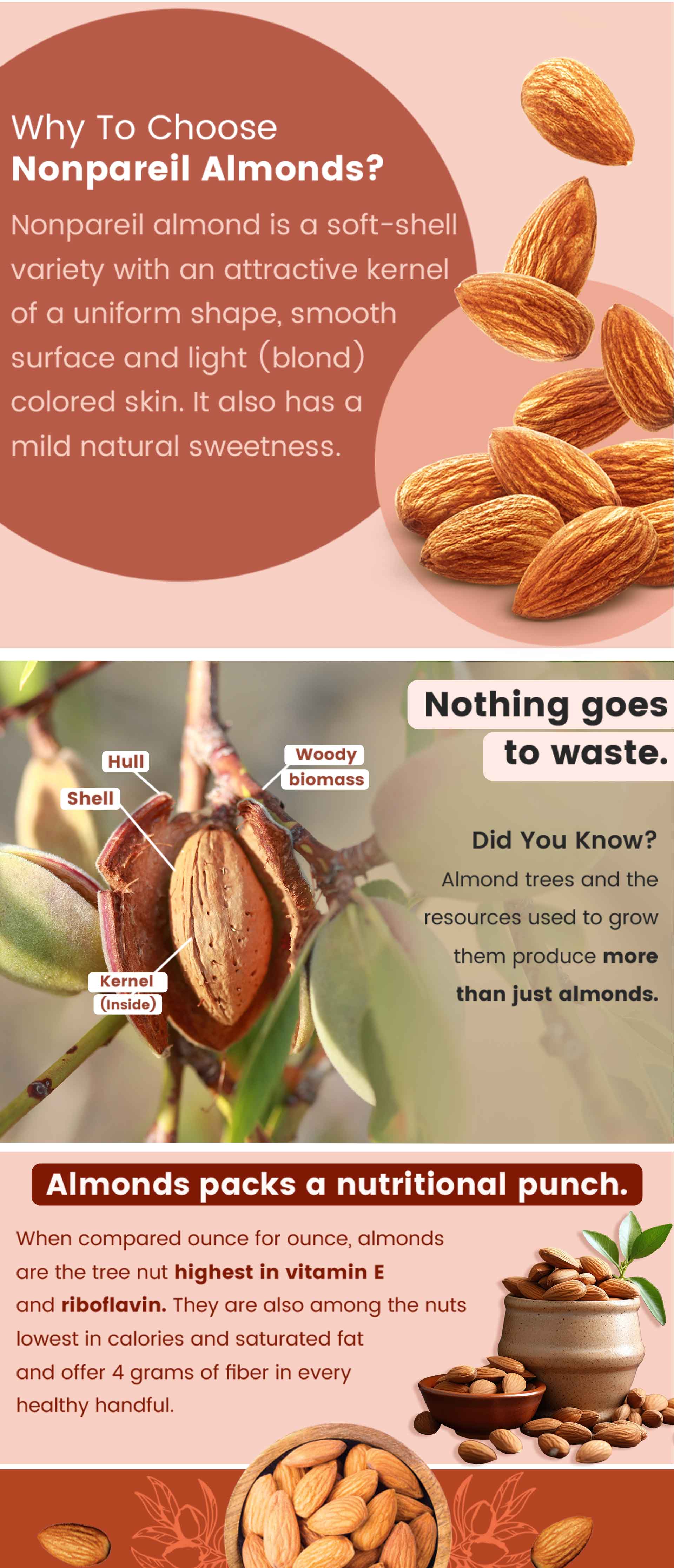 California Almonds (1 kg) with FREE Container
