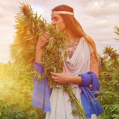 cannabis e ragazza