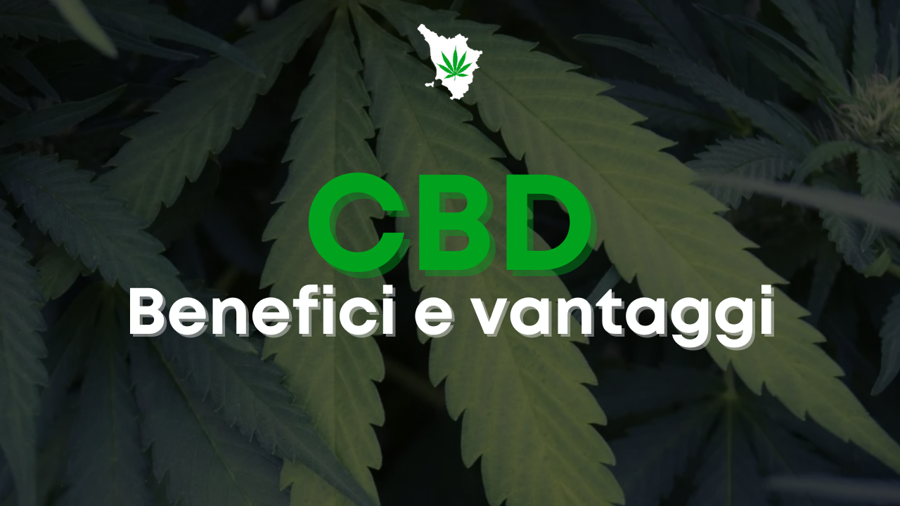 cbd benefici e vantaggi