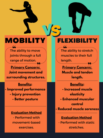 Mobility vs flexibility Infographic