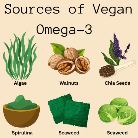 Sources of Vegan Omega-3  Fish Oil Alternatives