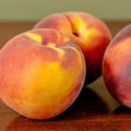 Gulf Crimson red yellow peaches on wooden table counter