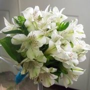 alstromeria wedding flowers