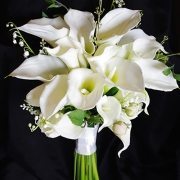 calla lilly flowers