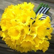 daffodils wedding flowers