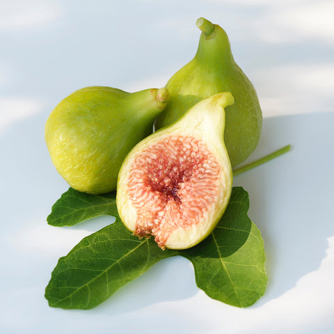 Kadota Fig Tree green yellow figs on table cut open with pink center