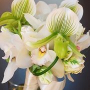 slipper orchid flowers