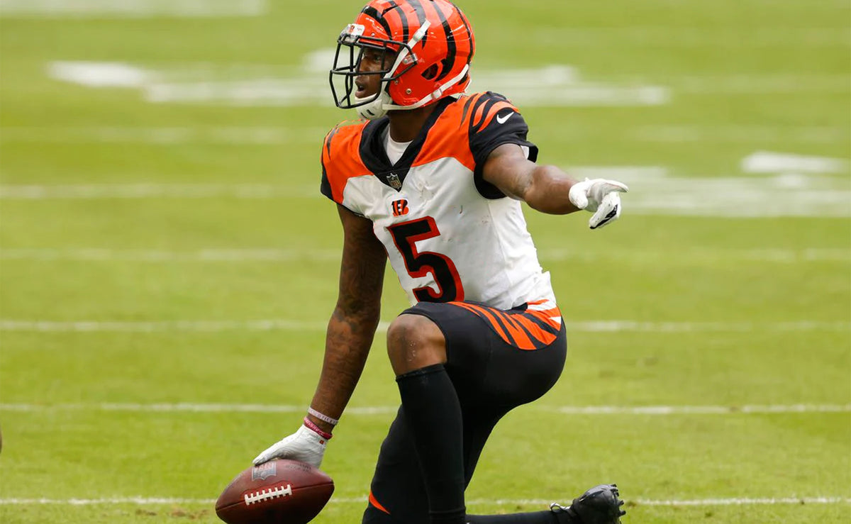 Tee Higgins Notches First Touchdown for Cincinnati Bengals in