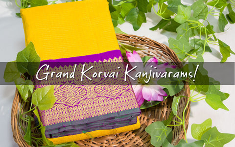 Pure Korvai Kanjivaram Silk Sarees