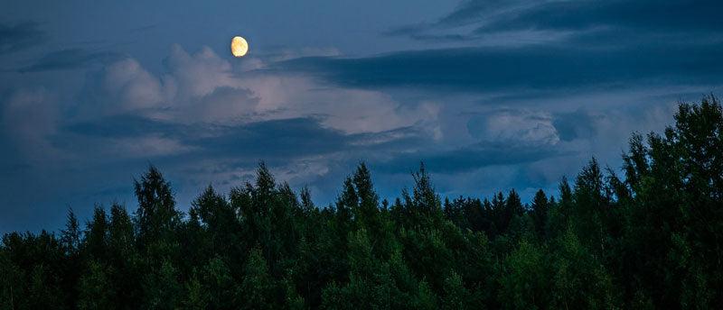 background-clouds-moon-wood-forest-night-sunset-mondkalender-haare-schneiden