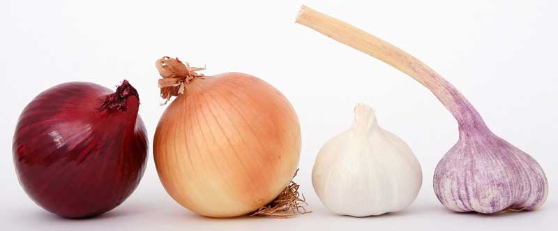 food-knoblauch-garlic-zwiebeln-selen-spurenelement-haar-vitamine-ernaehrung-lebensmittel-fuer-gesundes-haar