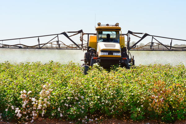 arrosage, pesticides, coton, arizona, USA