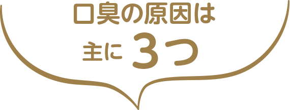 犬の口臭の原因は主に3つ