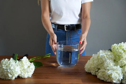 person standing with clear vase with fresh water
