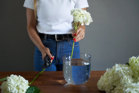 picture of person placing a hydrangea stem in a vase