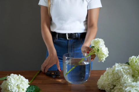 person placing hydrangea in vase