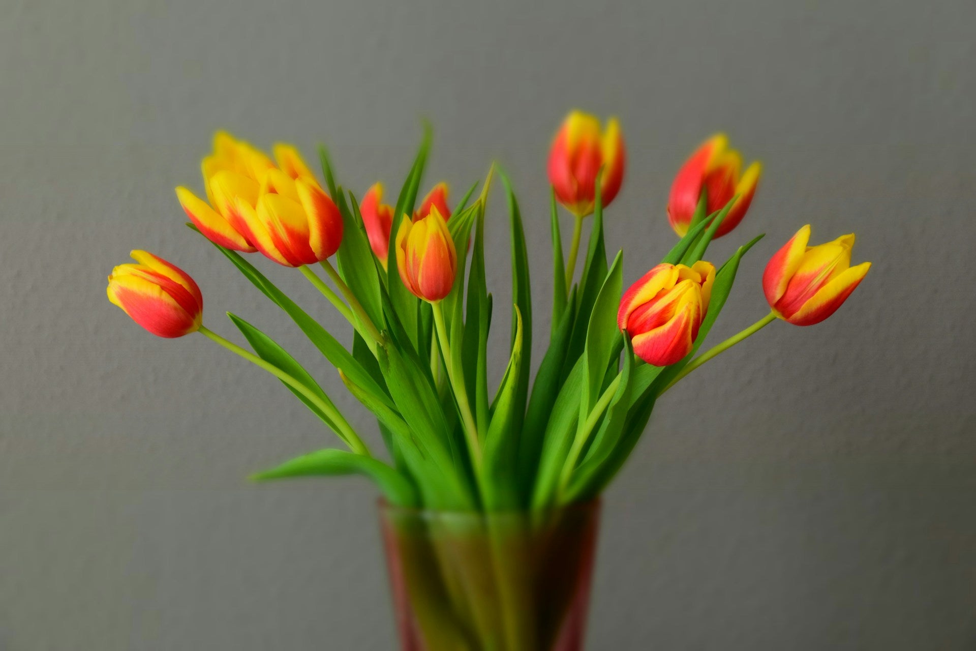 Tulipes jaune et orange dans en vase