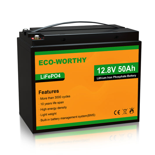  ECO-WORTHY 12V 200AH (2Pack 100AH) Mini Size LiFePO4 Lithium  Iron Phosphate Battery with BMS, Up to 15000 Cycles, For RV, Trailer,  Trolling Motor, Camping, Solar Off-Grid System, Group 31 Batteries 